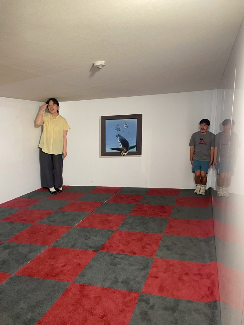 トリックアート